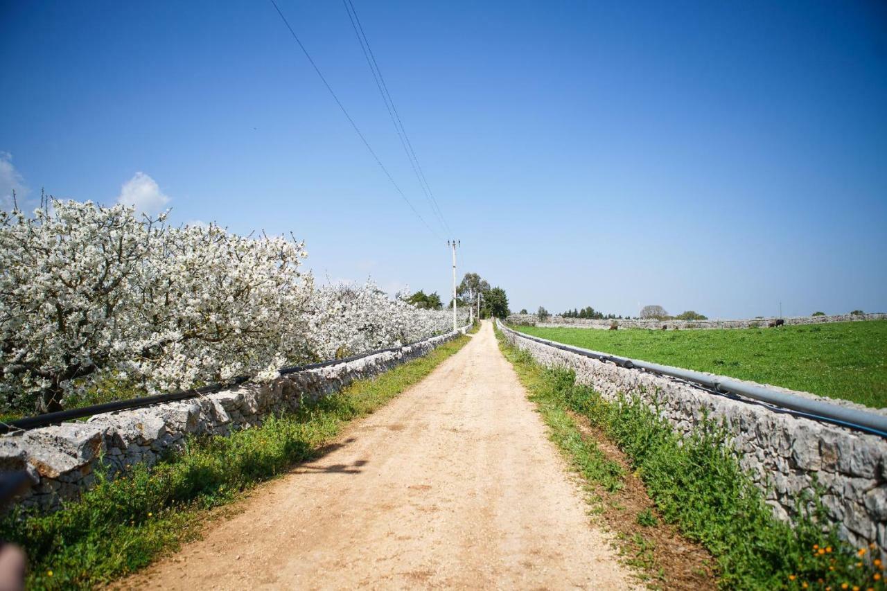 Masseria Guadiano Vecchio 산타 루치아 외부 사진