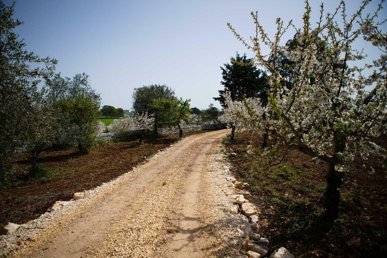 Masseria Guadiano Vecchio 산타 루치아 외부 사진