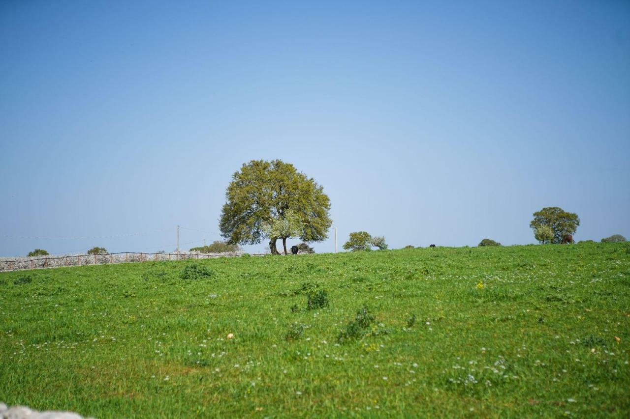 Masseria Guadiano Vecchio 산타 루치아 외부 사진