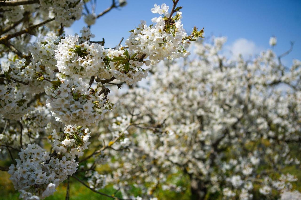 Masseria Guadiano Vecchio 산타 루치아 외부 사진